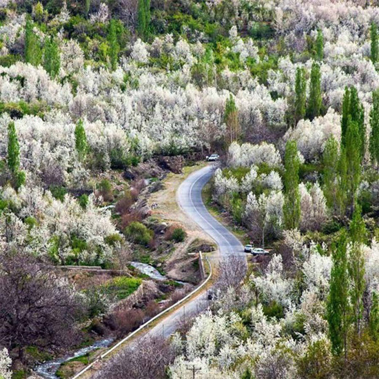 طبیعت گردی روستای بوژان