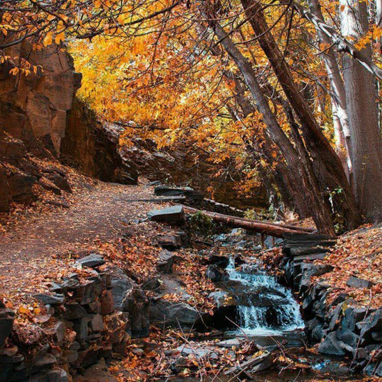 تصویر از رزرو راهنمای طبیعت گردی کنگ