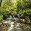 تصویر از رزرو راهنمای طبیعت گردی کنگ