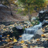 تصویر از رزرو راهنمای طبیعت گردی کنگ