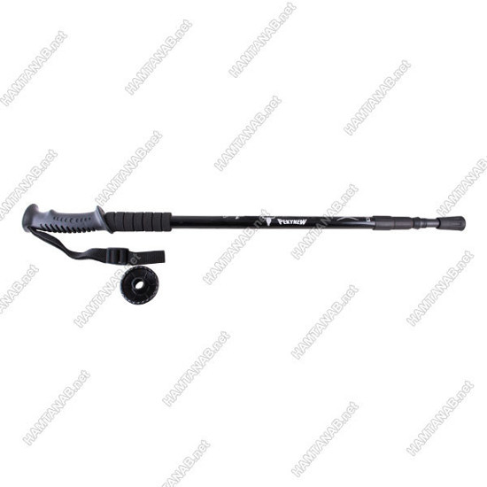 باتوم پکینیو