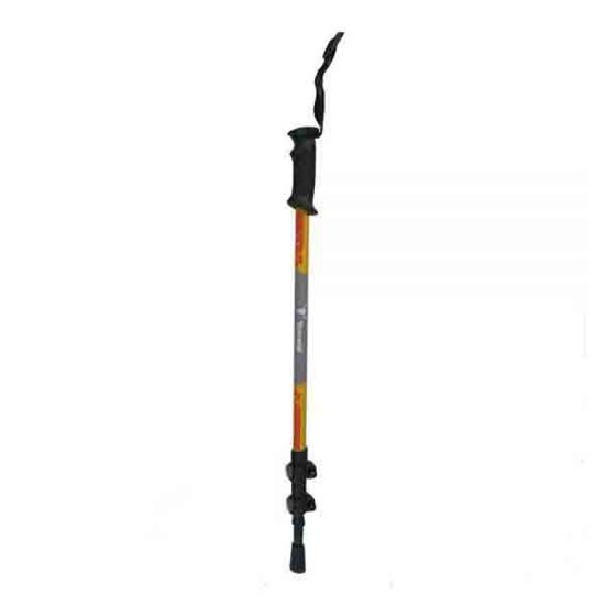 باتوم پکینیو	