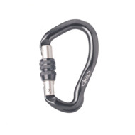 کارابین پیچ بئال